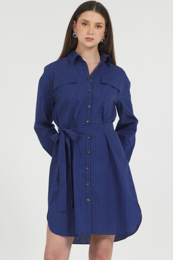 COTTON YARD DYE STRIPE BUTTON DOWN SHIRT DRESS